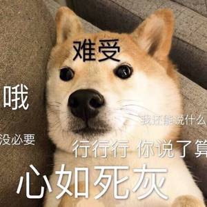 激情男女做爱视频
