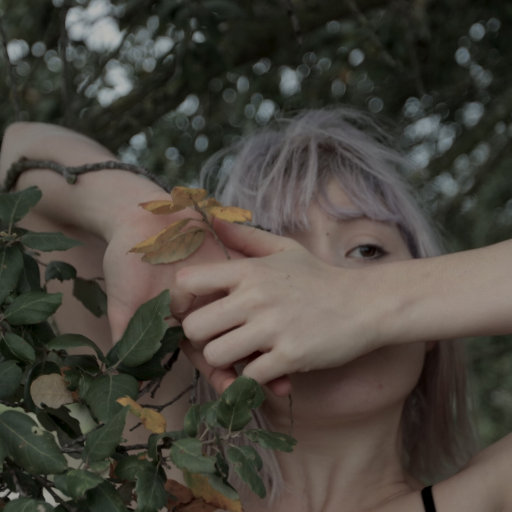 激情男女做爱视频
